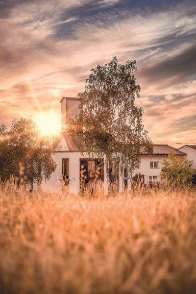 Birkenhof Whisky 