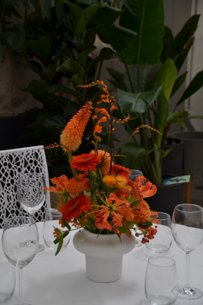 Cimiotti’s Garten 