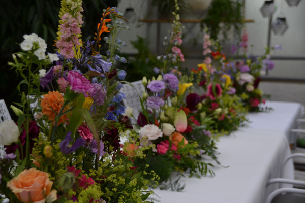 Cimiotti’s Garten 