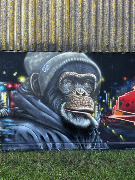 Citerart 