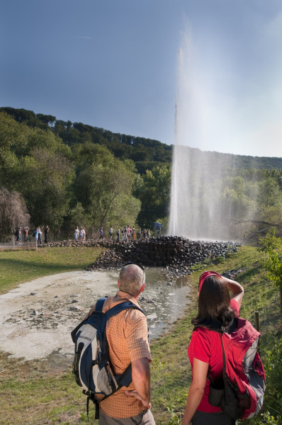 Geysir Andernach 