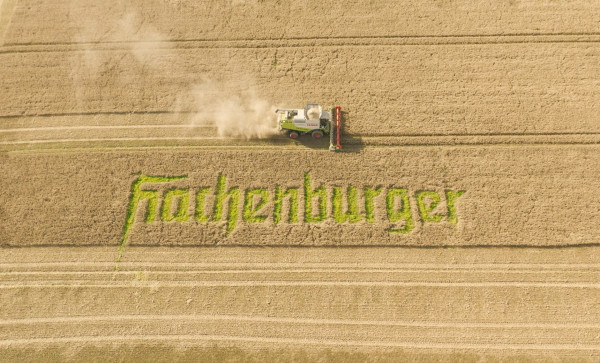 Hachenburger 