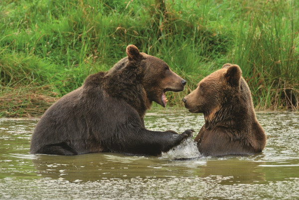 Wildpark Weilburg 