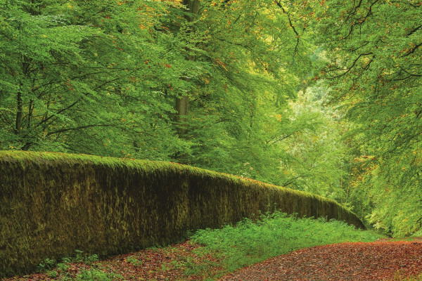 Wildpark Weilburg 